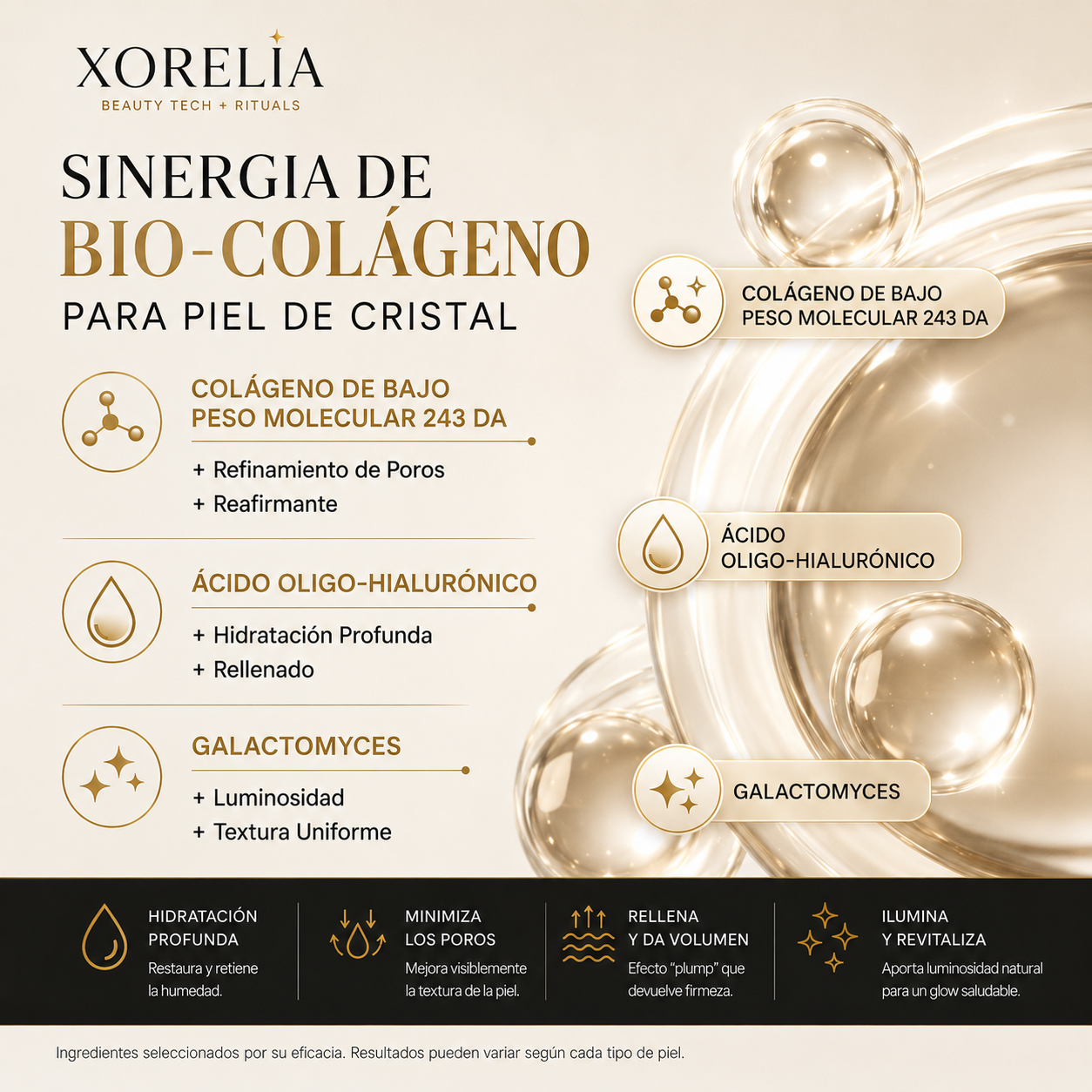 Ingredientes destacados XORELIA Bio-Collagen
